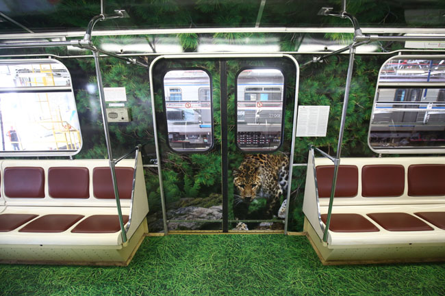 Леопарды в метро