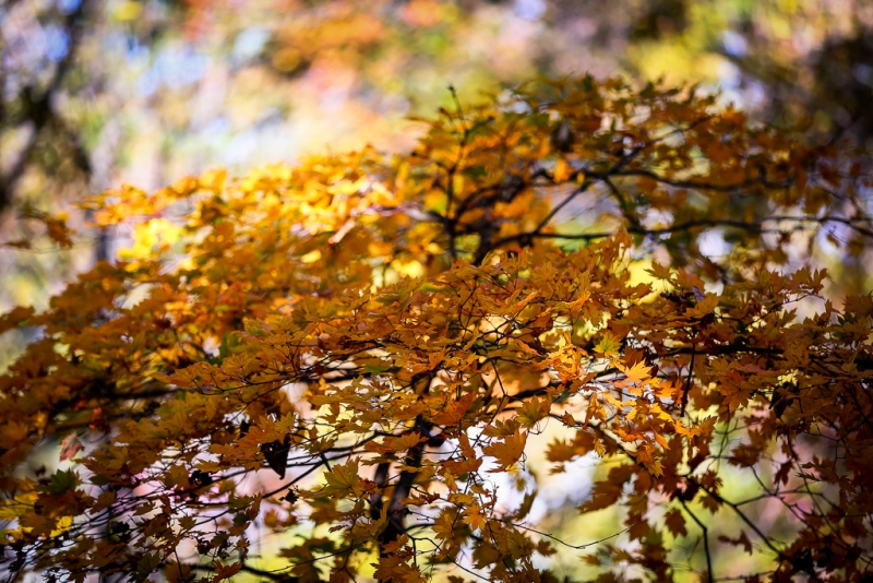Последний сентябрьский день будет солнечным в Якутске  Балашов Антон, PrimaMedia