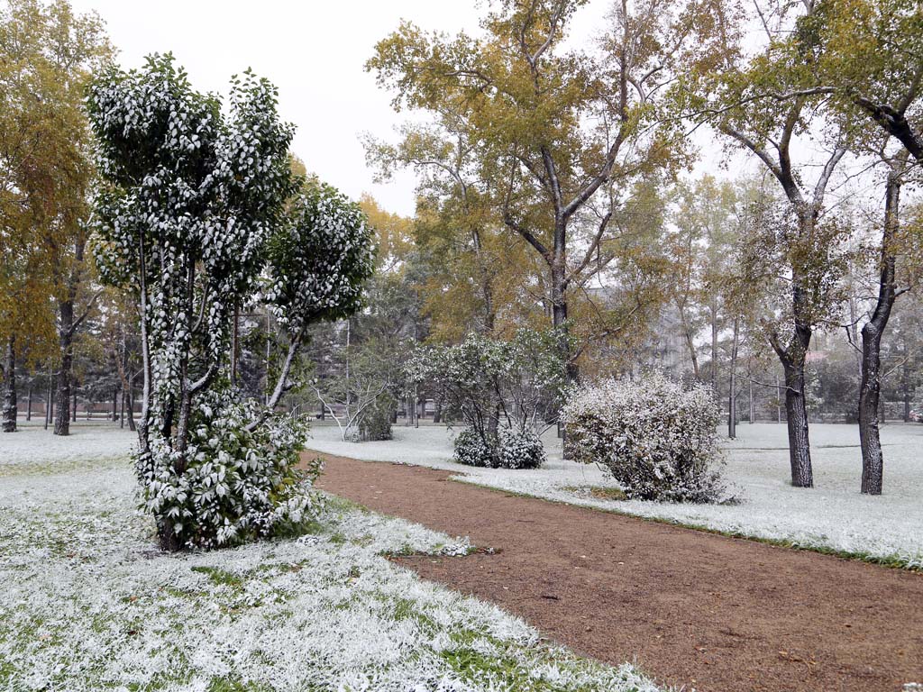 Иркутск сегодня фото со снегом