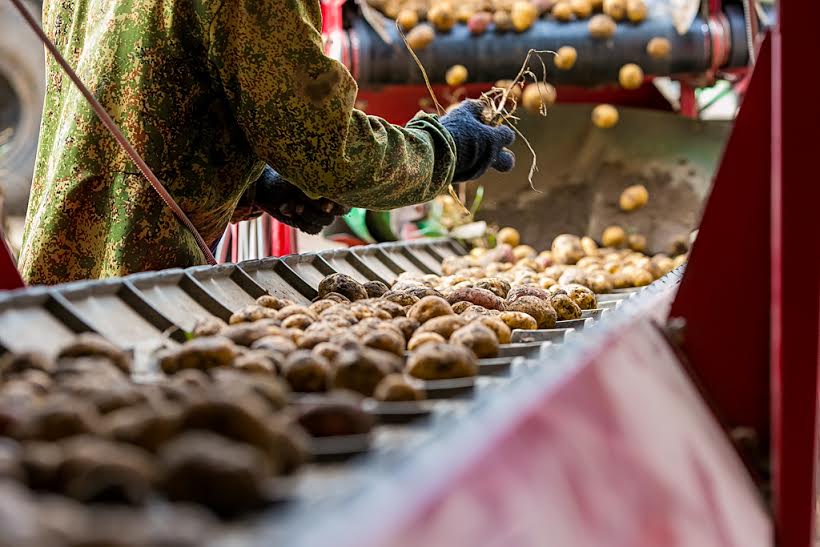 Около 10 тысяч га зерна обмолотили в Республике Бурятия