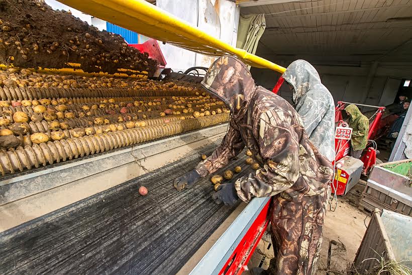 Около 10 тысяч га зерна обмолотили в Республике Бурятия