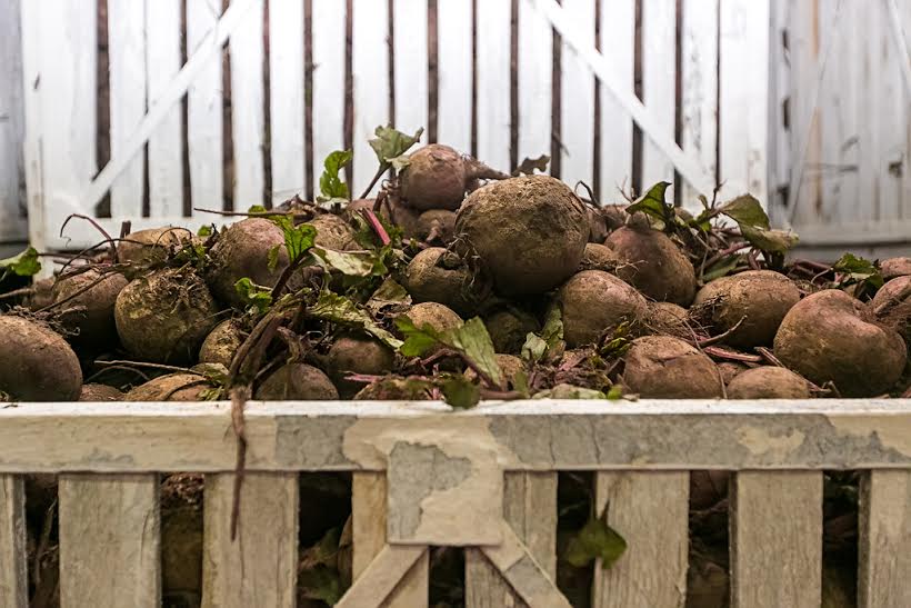 Около 10 тысяч га зерна обмолотили в Республике Бурятия