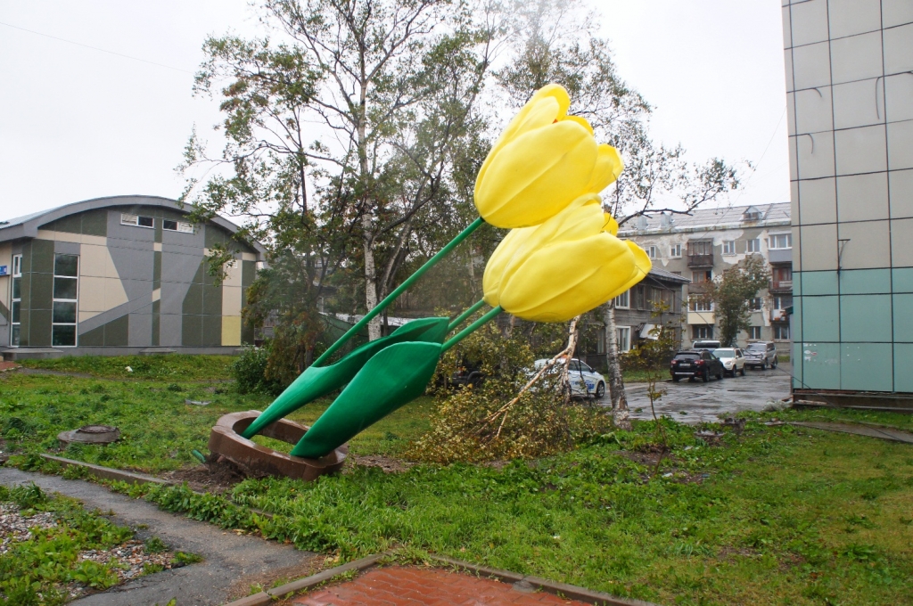 Пластмассовые тюльпаны не выдержали ураганного ветра Сергей Ланин, ИА SakhalinMedia