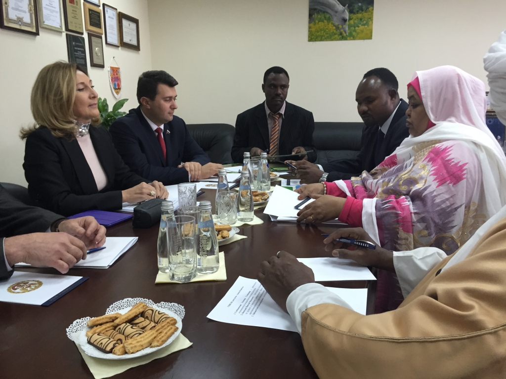 Встреча депутатов Госдумы РФ с парламентской делегацией Республики Судан 