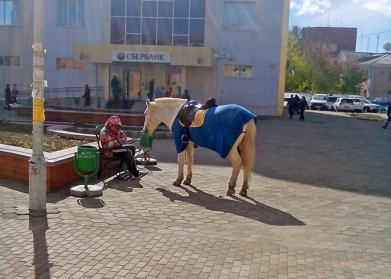 Лошади в центре Биробиджана