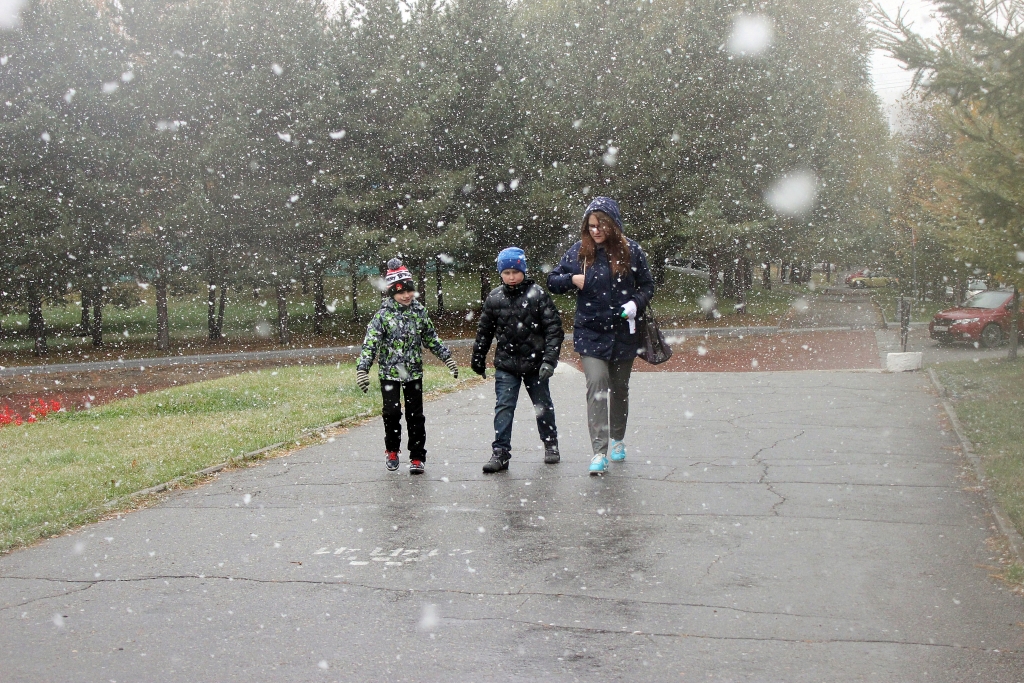 Первый снег