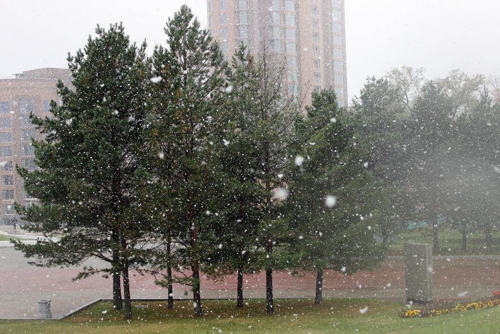 Неделя с AmurMedia