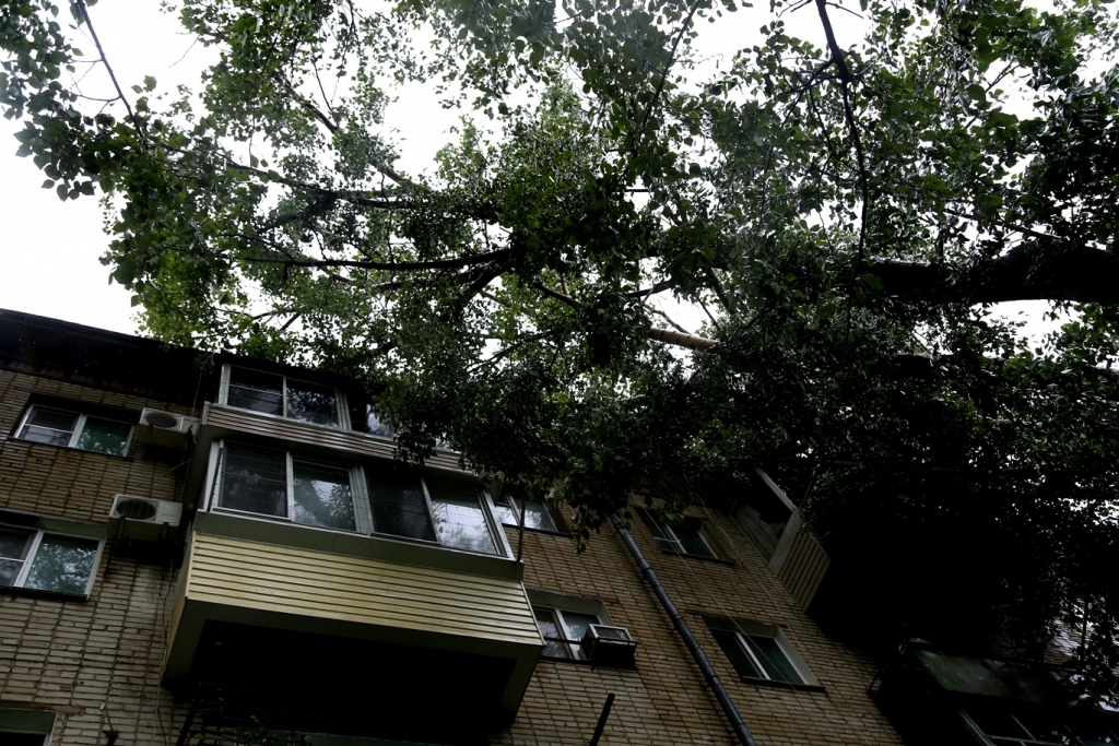 Неделя с AmurMedia