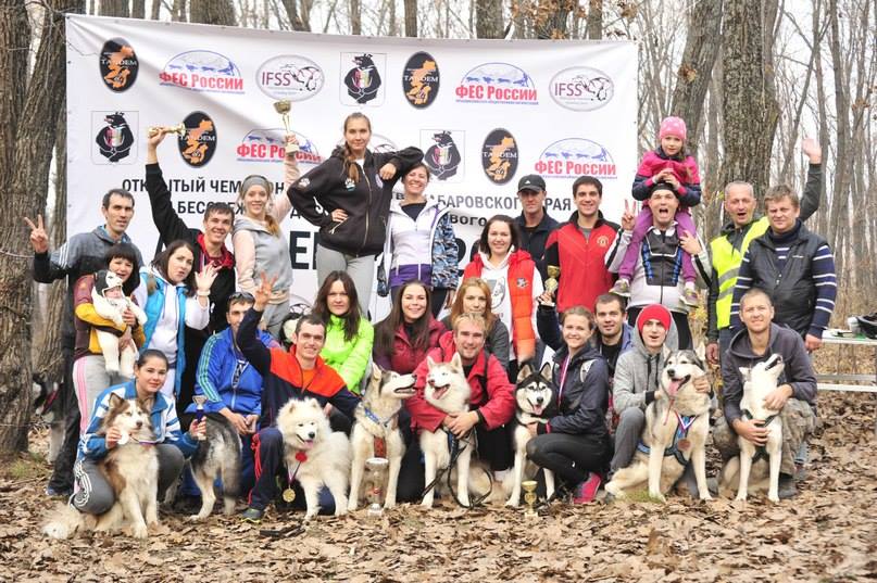 Первый чемпионат края по ездовому спорту прошел в Хабаровске