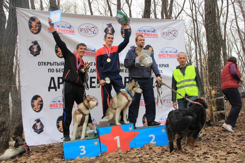 Первый чемпионат края по ездовому спорту прошел в Хабаровске