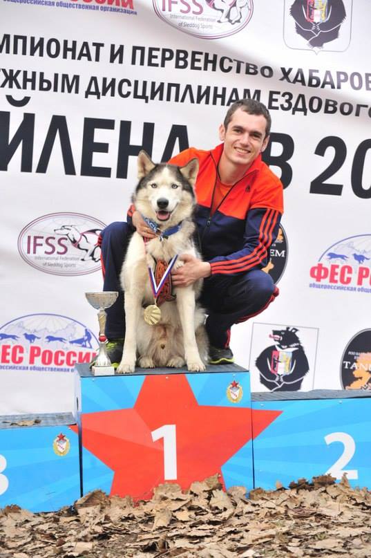 Первый чемпионат края по ездовому спорту прошел в Хабаровске