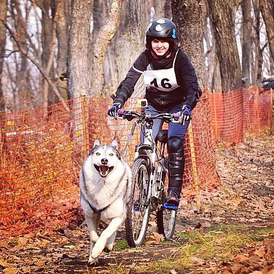 Первый чемпионат края по ездовому спорту прошел в Хабаровске