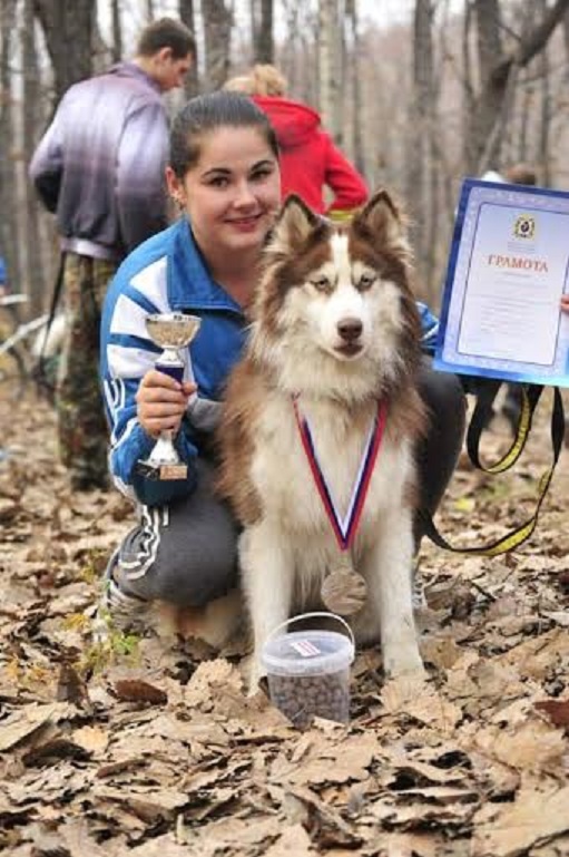 Первый чемпионат края по ездовому спорту прошел в Хабаровске