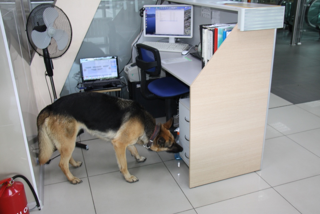 Полицейские обследовали здание ТДЦ "Столица"