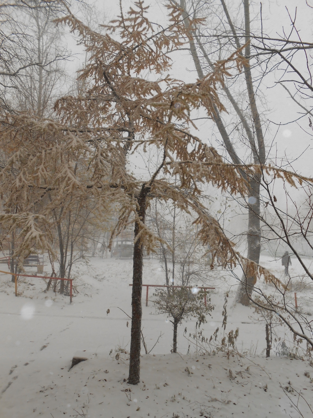 Снежная метель окутала сегодня Хабаровск