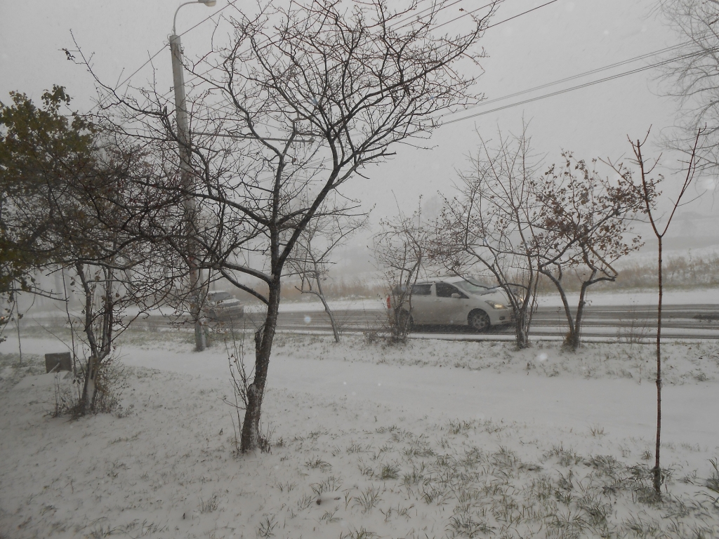 Снежная метель окутала сегодня Хабаровск