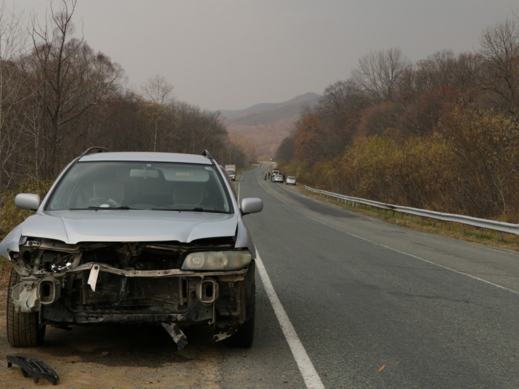 Nissan Wingroad, который сбил леопарда