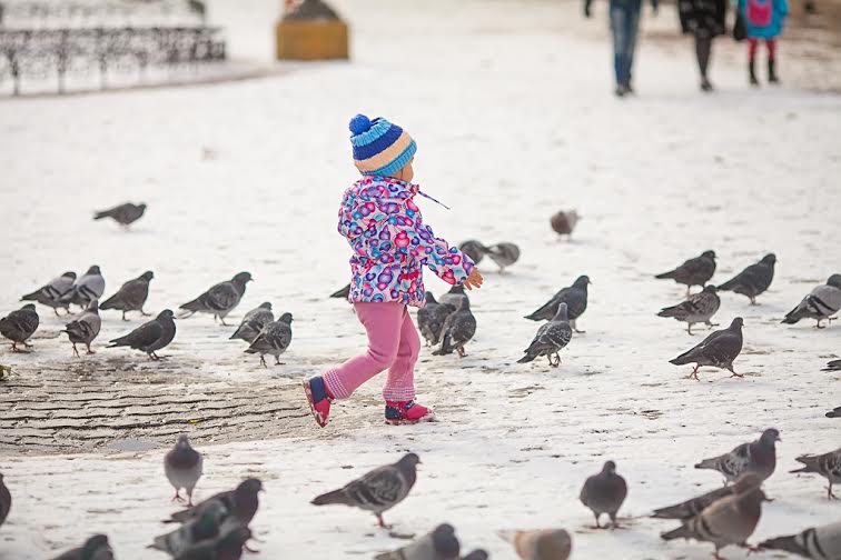 Ребенок и голуби