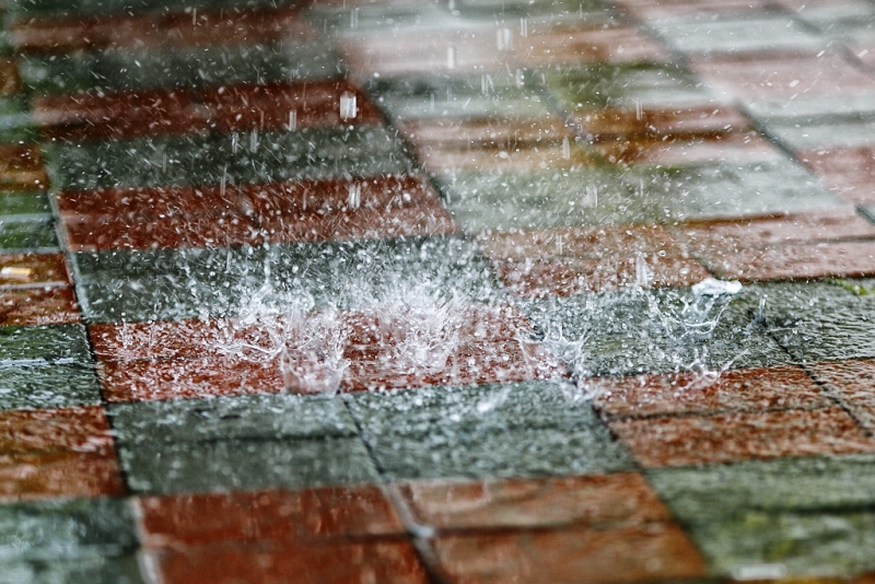 Дождь РИА PrimaMedia