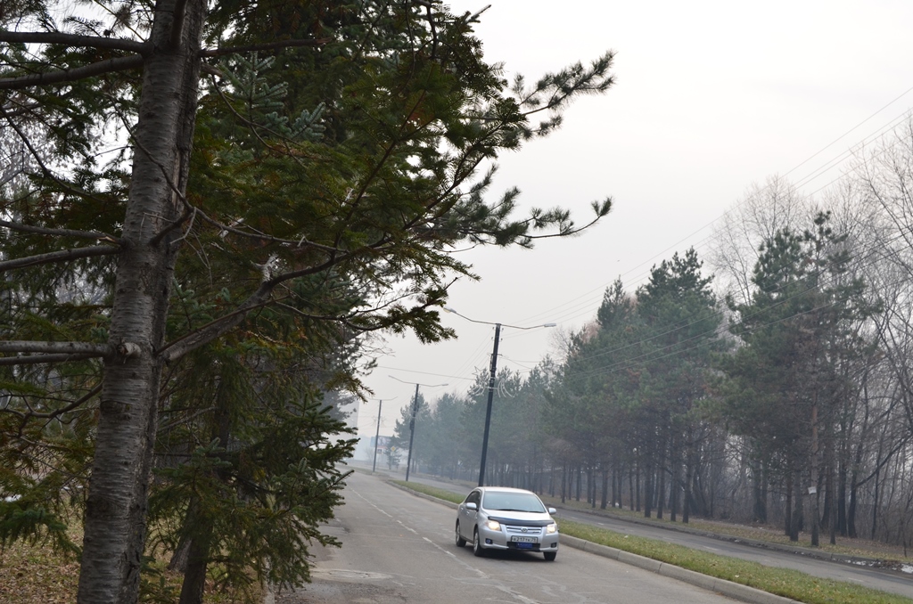 Задымленность от пожаров в Китае