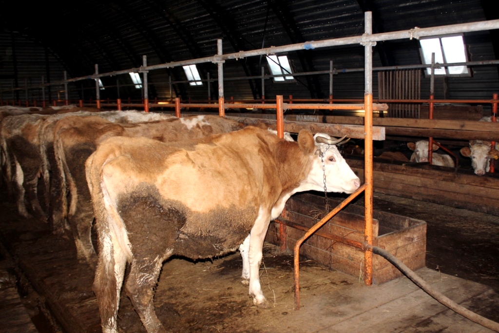 Атамайский наслег