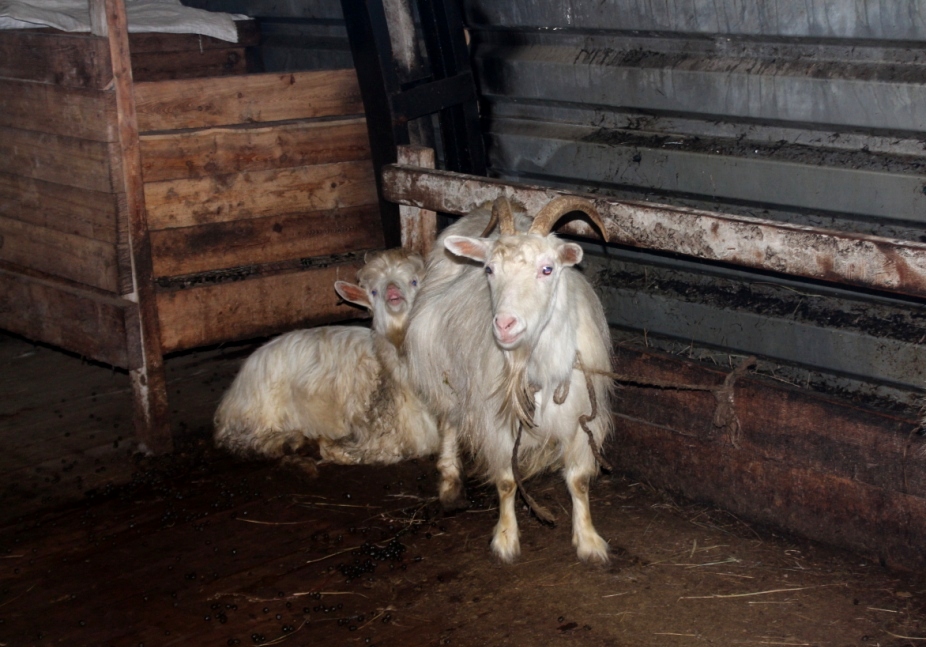 Атамайский наслег