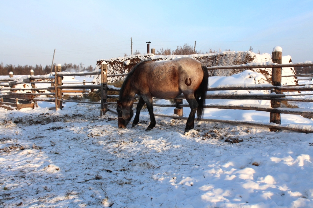 Атамайский наслег