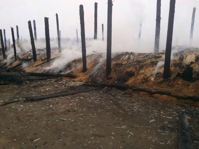 Зернохранилище площадью 1,2 тысячи кв. метров сожгли в Тулунском районе Приангарья  Пресс-служба ГУ МЧС по Иркутской области