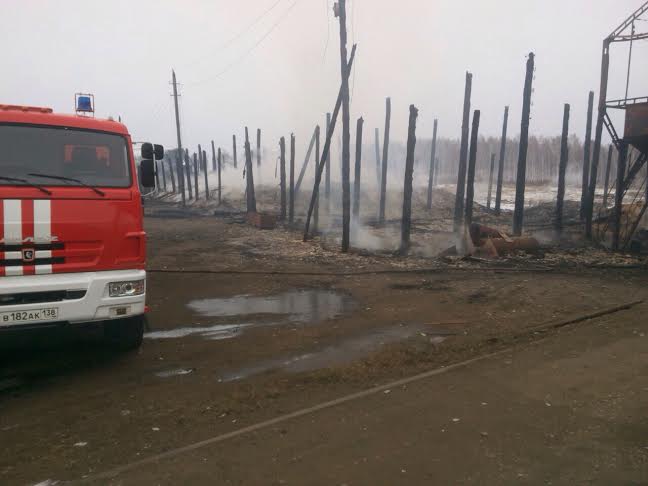 Зернохранилище площадью 1,2 тысячи кв. метров сожгли в Тулунском районе Приангарья 