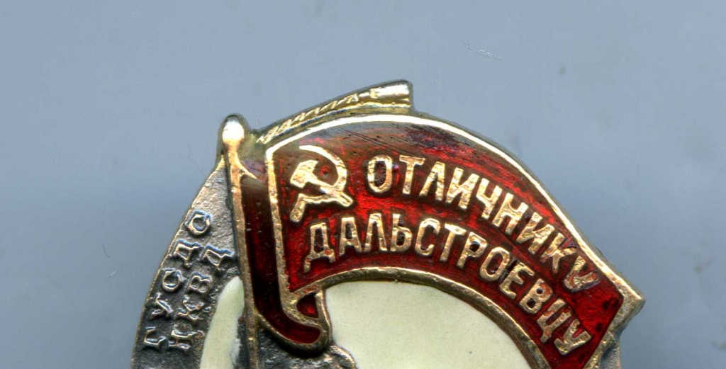 Награда &quotОтличнику Дальстроевцу&quot Из социальных сетей