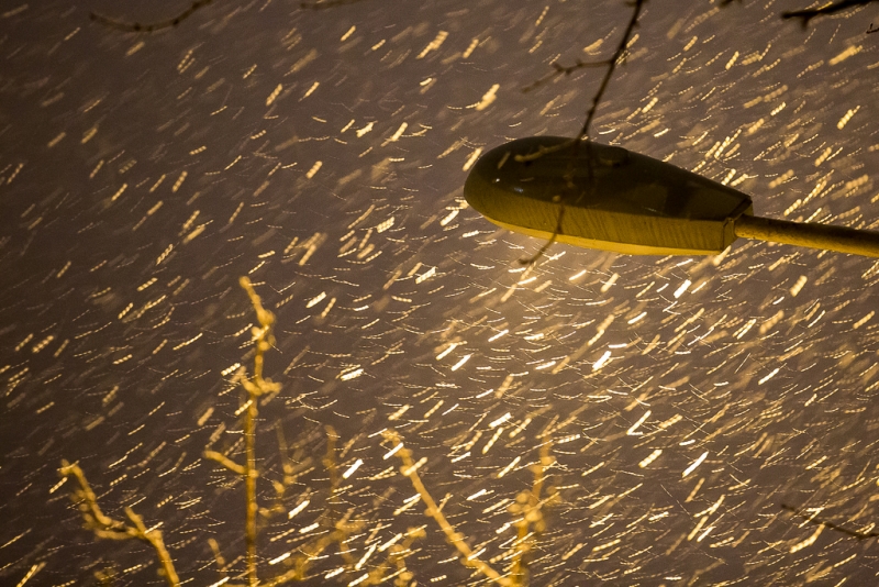 Сильный циклон накрыл Магадан на два дня