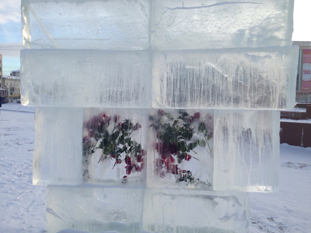 Фотофакт: Новогоднюю елку устанавливают на главной площади Якутска