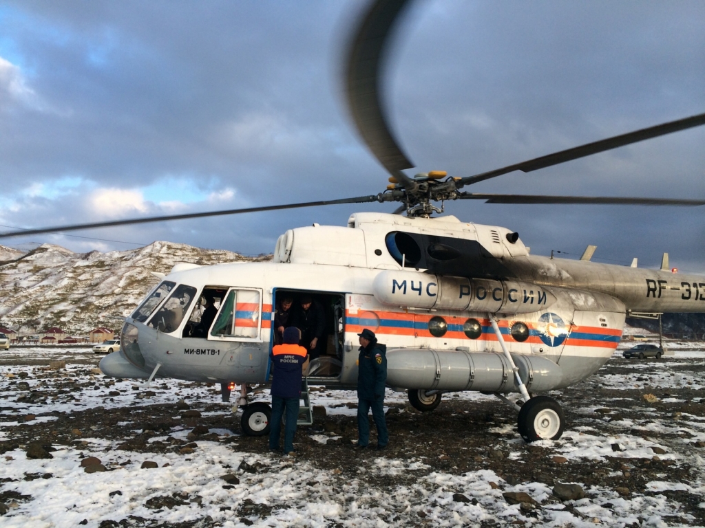 Реабилитационный центр для птиц развернут на территории завода СПГ в  Пригородном - SakhalinMedia.ru