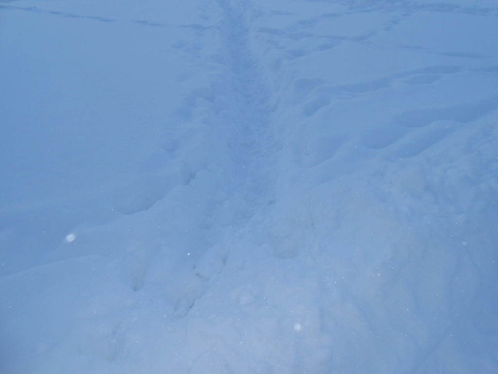 Пешеходам в Хабаровске с утра пришлось несладко