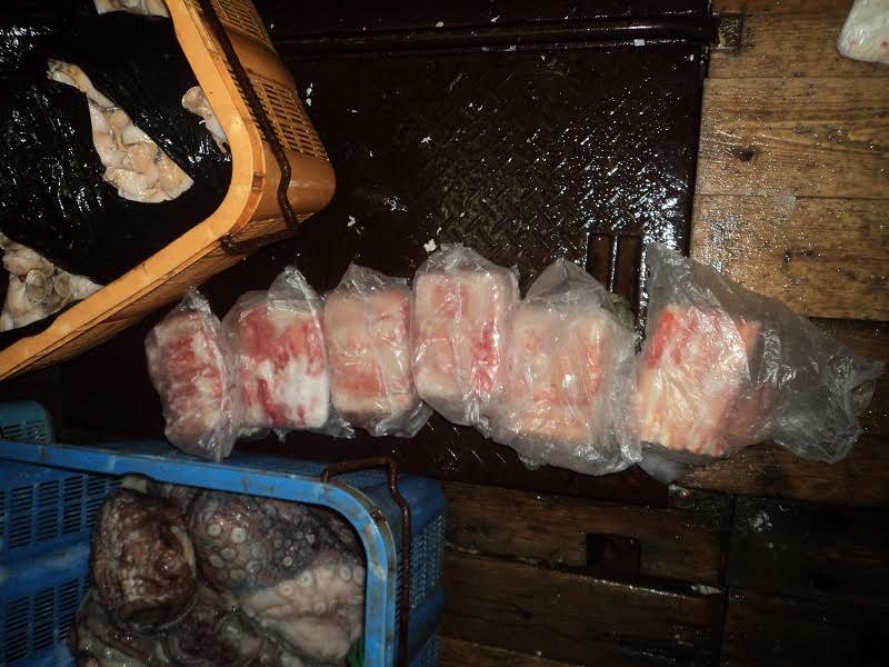 Сахалинские пограничники задержали судно с нелегально выловленным крабом