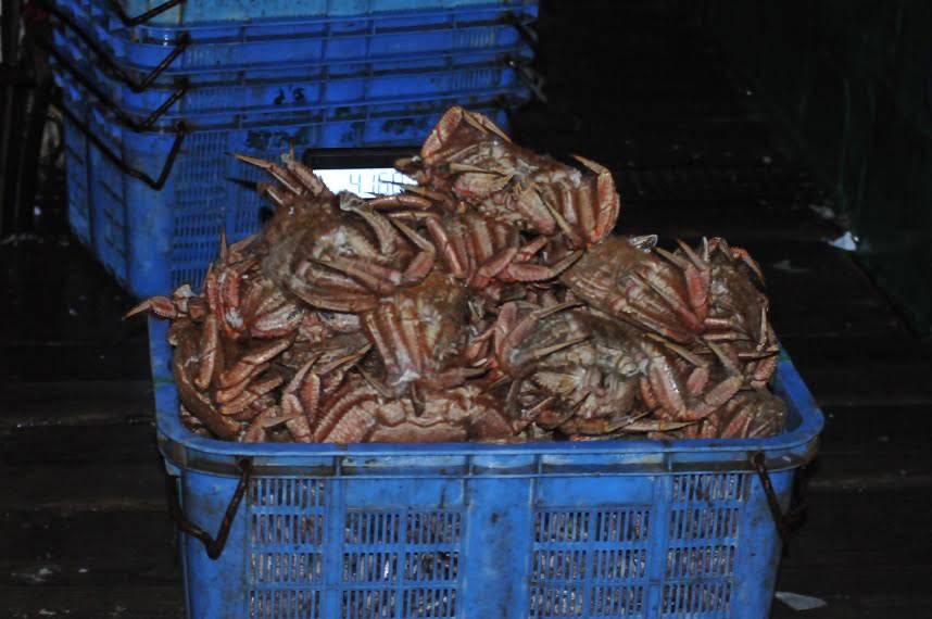 Сахалинские пограничники задержали судно с нелегально выловленным крабом