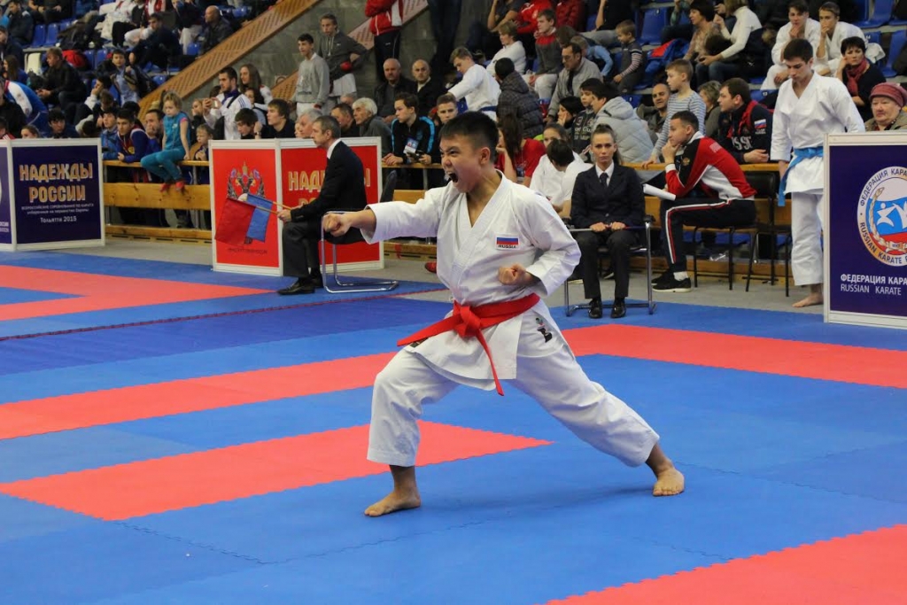 надежды карате