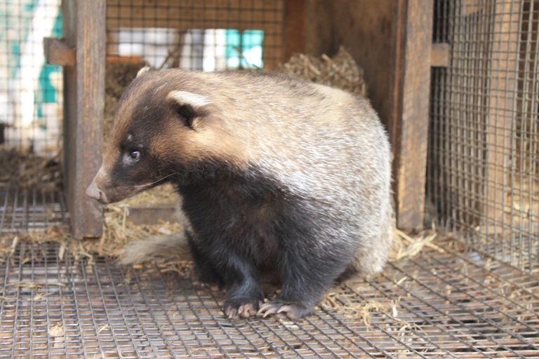 Сафари-парк