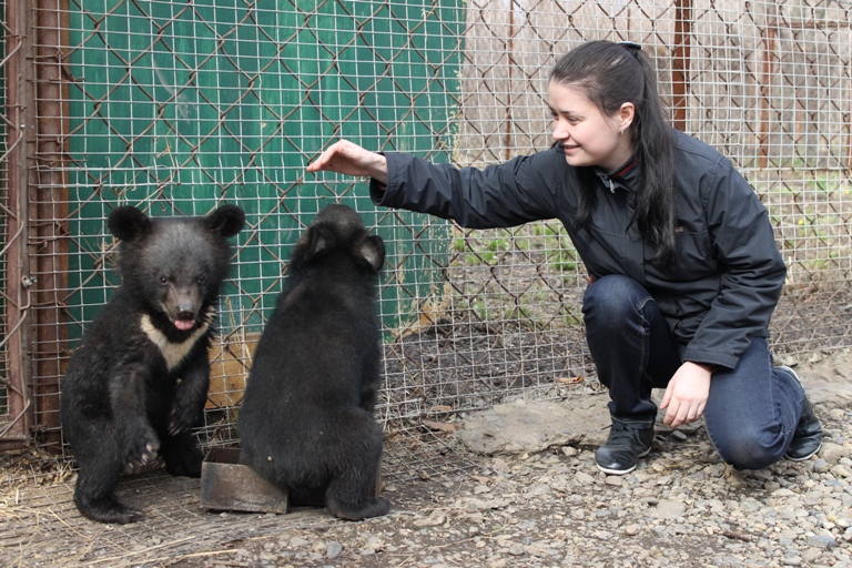 Сафари-парк