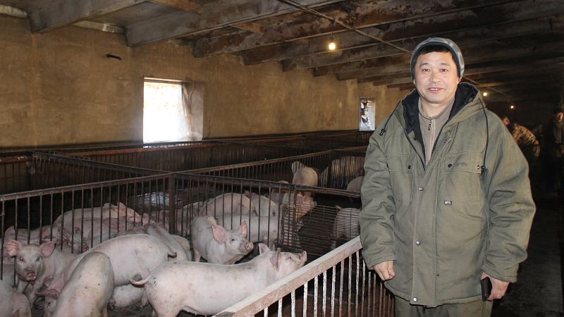 Управляющий свинофермой в Партизанском товарищ Цзян