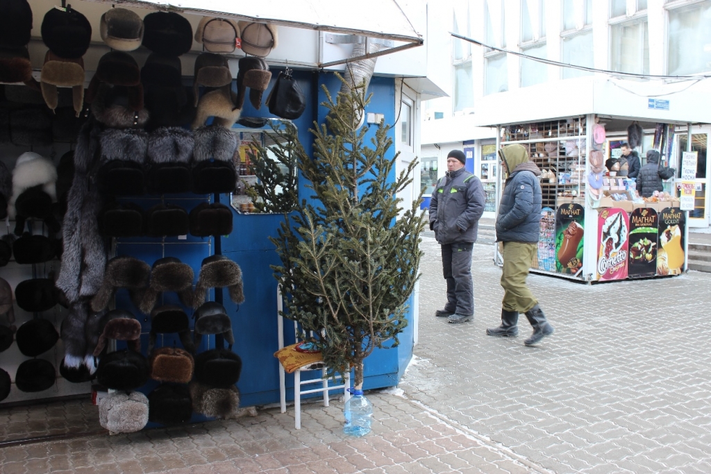 Елочные базары начали работу в Хабаровске