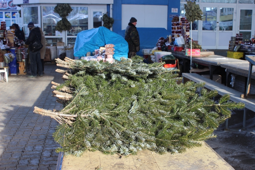 Елочные базары начали работу в Хабаровске