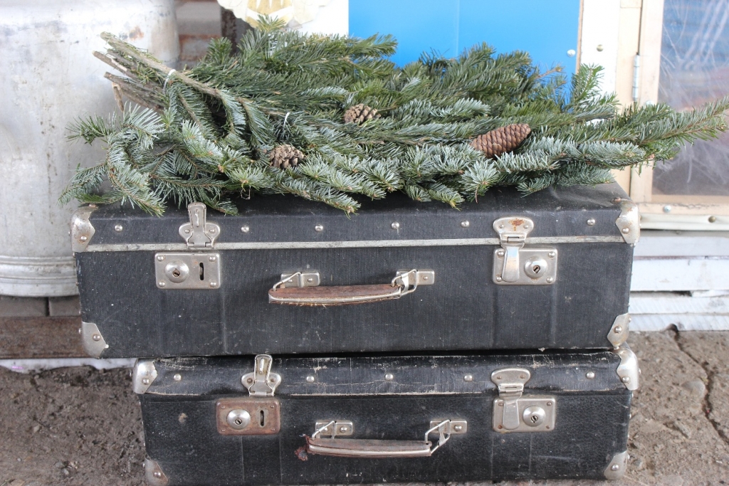 Елочные базары начали работу в Хабаровске