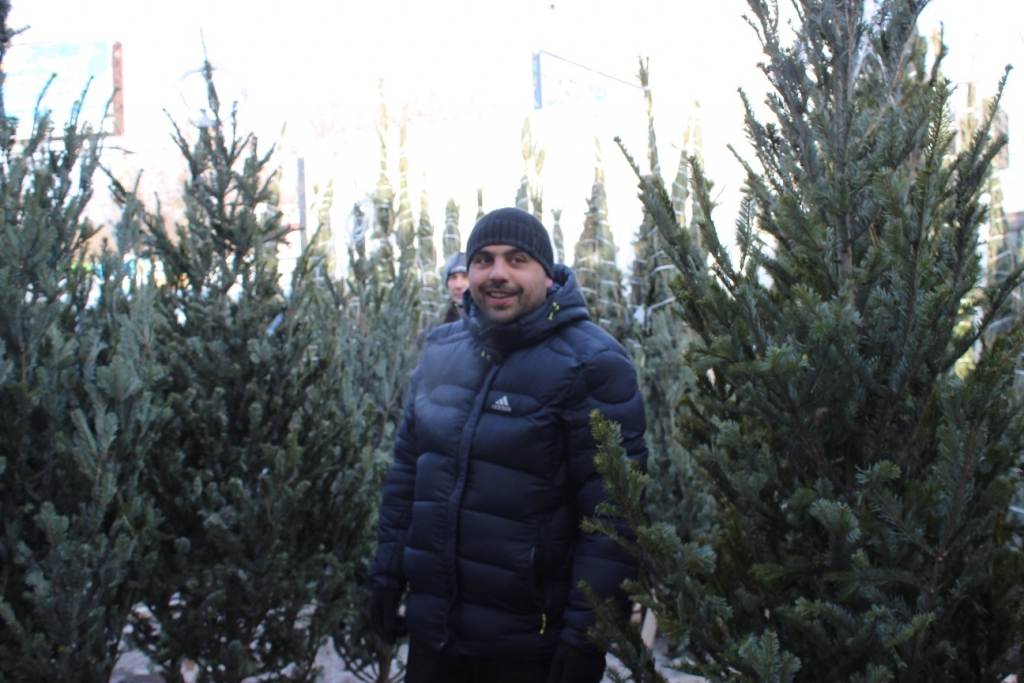 Елочные базары начали работу в Хабаровске