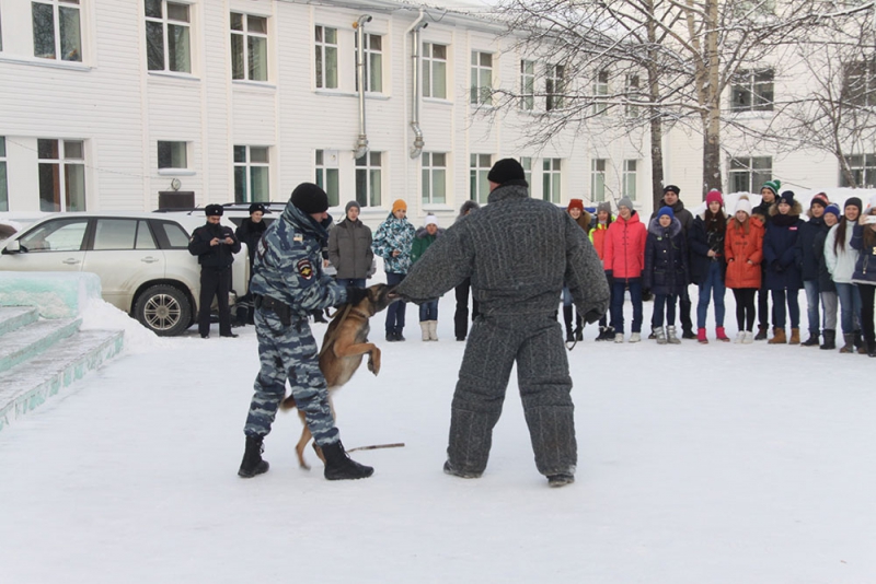 Более 200 ребят стали свидетелями показательных выступлений кинолога со служебной собакой