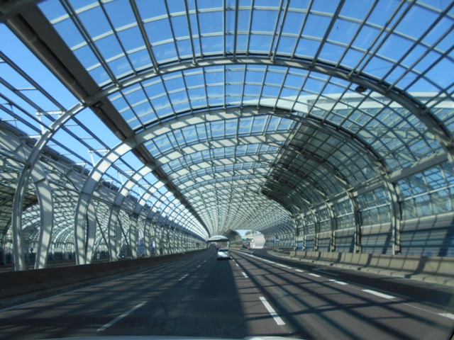 Европейские мосты поднимают настроение, утверждает Григорий Волохов