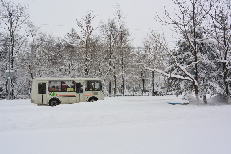 Стоимость проезда в городском транспорте Биробиджана повысится завтра, 12 января Константин Земляникин