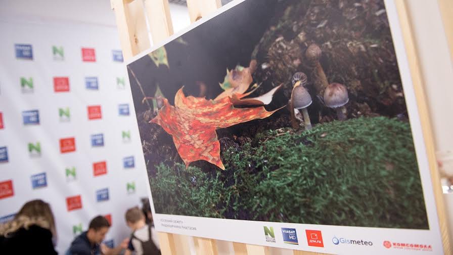 Фотография