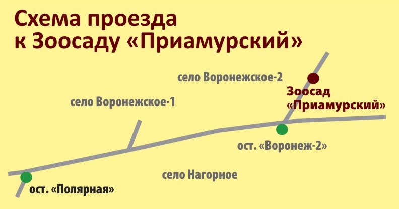 Сысоева зоосад имени хабаровск карта