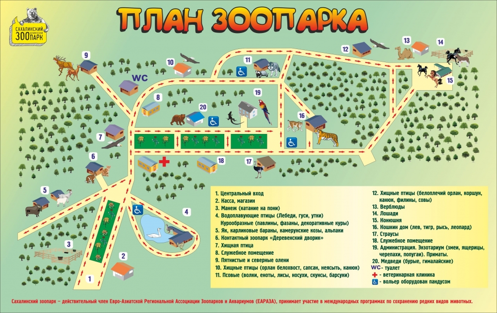 План